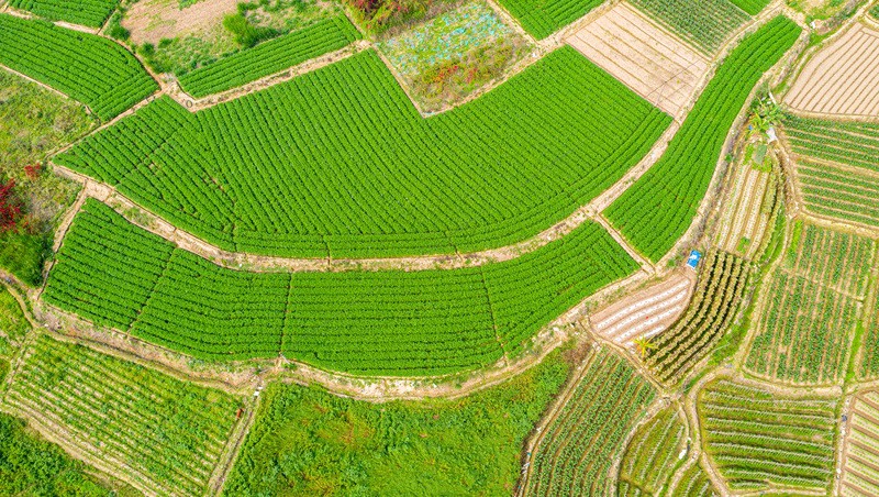 福建省浦城縣官路鄉(xiāng)2024年高標準農(nóng)田建設(shè)項目