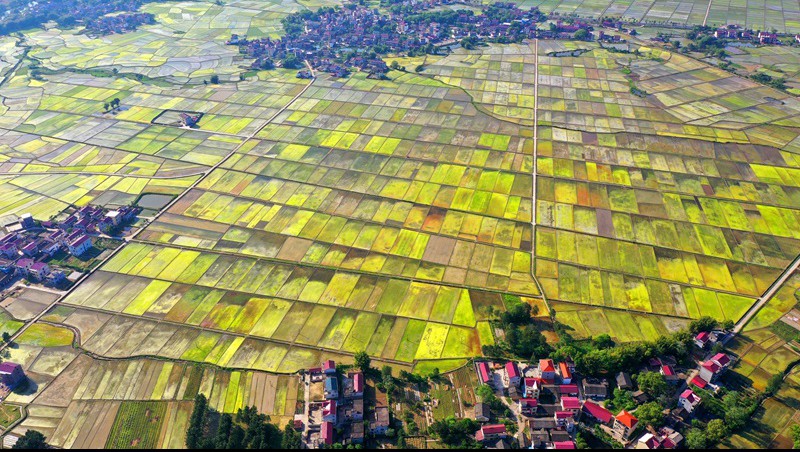 江西省南豐縣2020年統(tǒng)籌整合資金推進高標準農(nóng)田建設(shè)項目