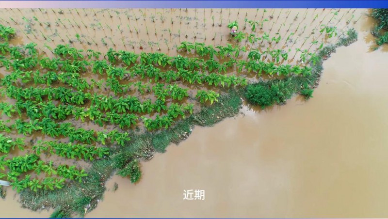 大禹節(jié)水：嚴(yán)陣以待，共筑防汛抗旱屏障