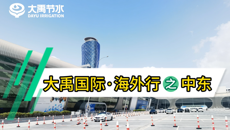 大禹國(guó)際·海外行之中東