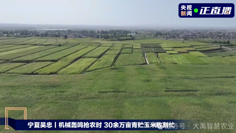  【媒體聚焦】大禹節(jié)水以智慧農(nóng)業(yè)技術(shù)，為 30 萬(wàn)畝青貯玉米豐收 “添動(dòng)力”